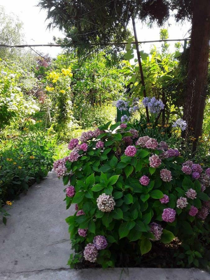 Zeleniy Dvorik Guest House New Athos Bagian luar foto